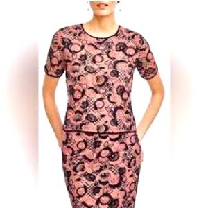 Ann Taylor Blush and Navy Lace Top